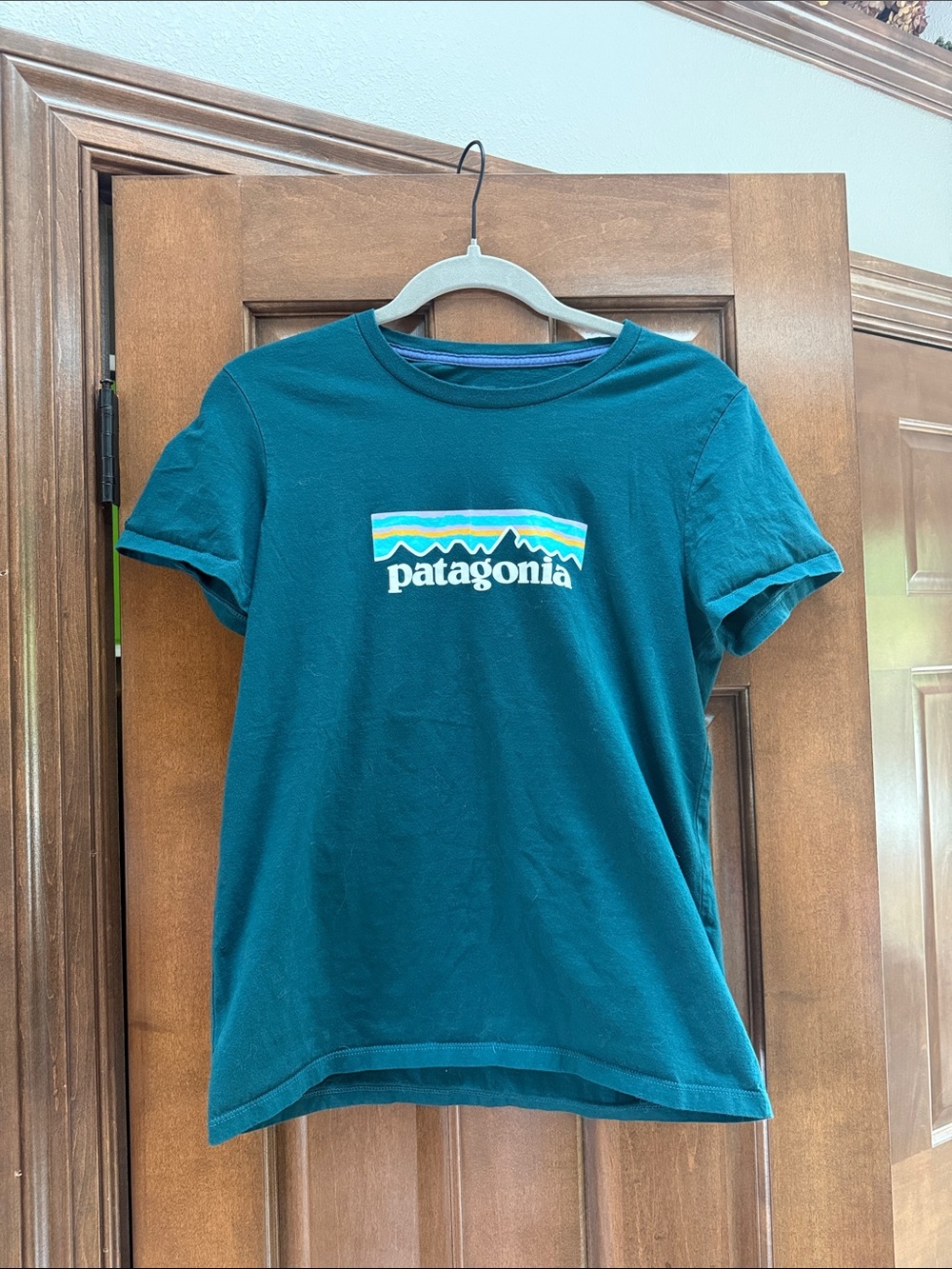 Patagonia Teal Short-Sleeve Logo Tee